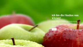 XTLIVE Flexbox xt:Commerce 5 / ohne Installationsservice